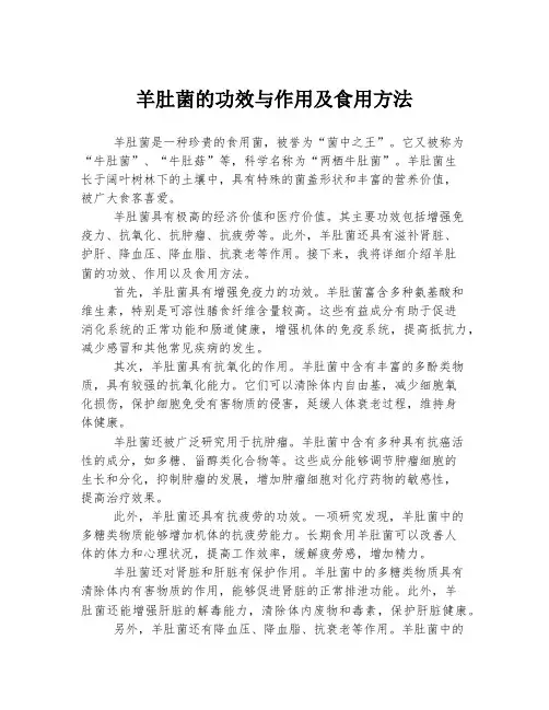 羊肚菌的功效与作用及食用方法