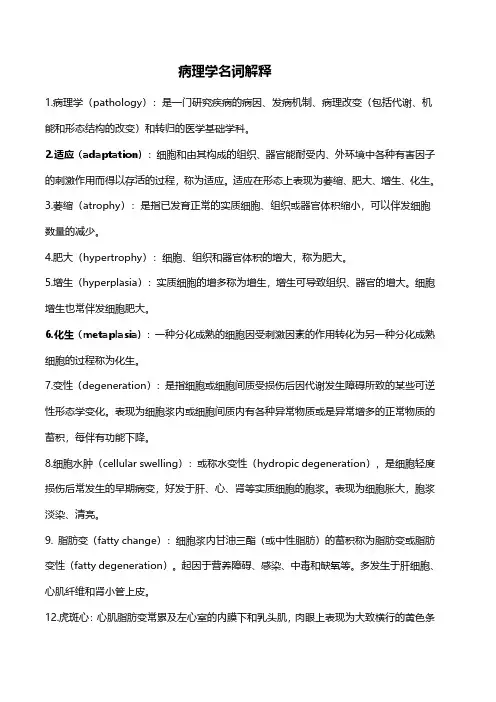 病理名词解释大全
