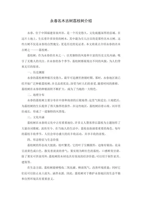 永春名木古树荔枝树介绍