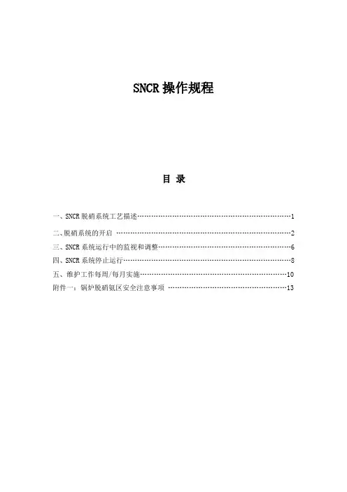 SNCR操作规程