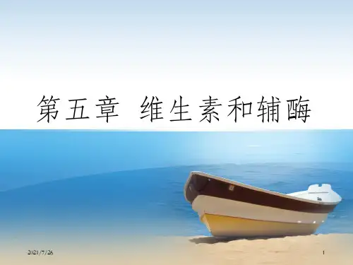 《维生素和辅酶》PPT课件
