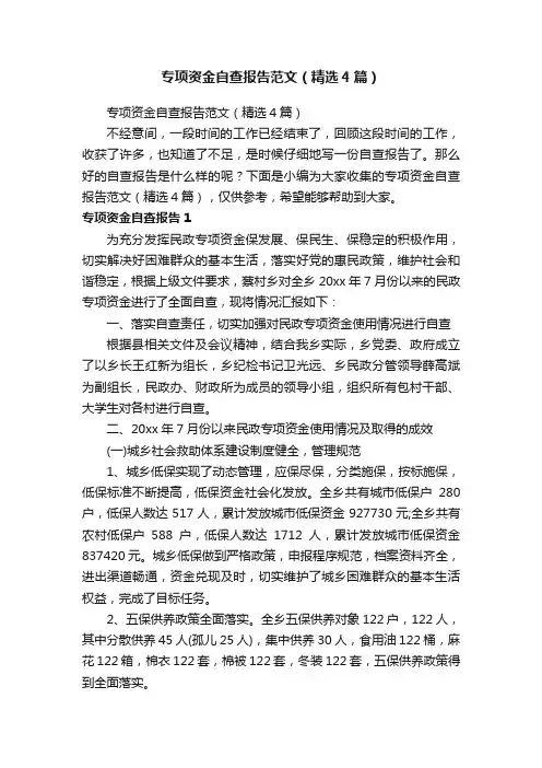 专项资金自查报告范文（精选4篇）