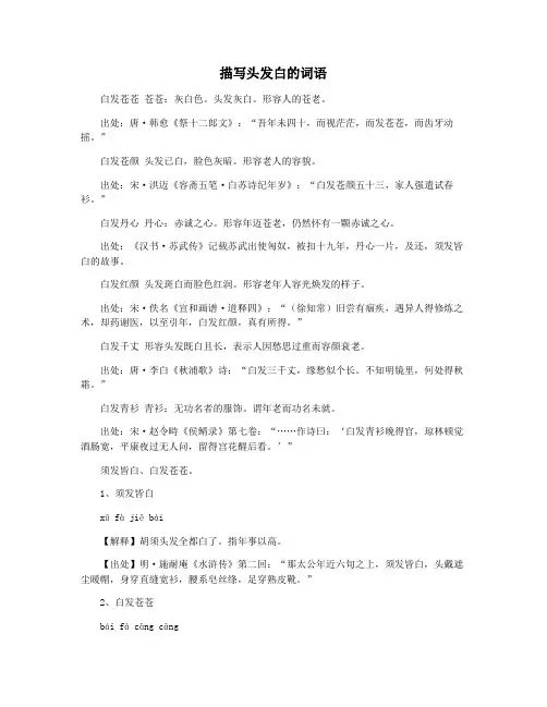 描写头发白的词语