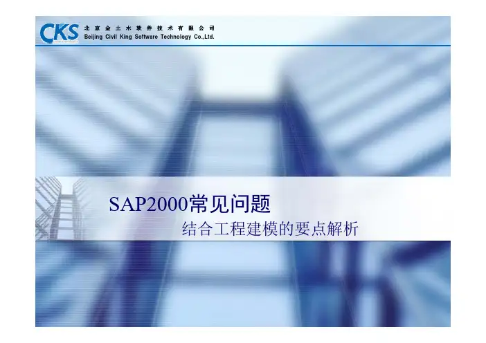 SAP2000常见问题(武汉报告会)