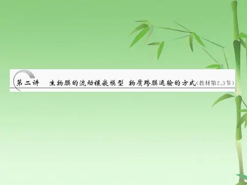 高考生物一轮复习 生物膜的流动镶嵌模型 物质跨膜运输的方式新人教版必修1(共52张PPT)