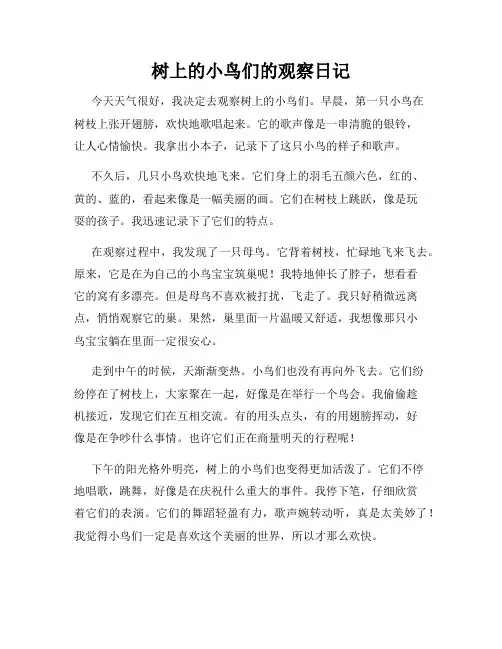 小学三年级作文树上的小鸟们的观察日记