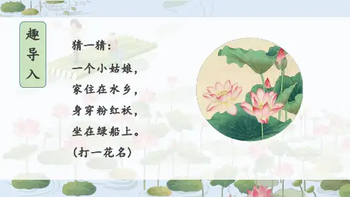 荷花美(课件)-赣美版美术三年级下册