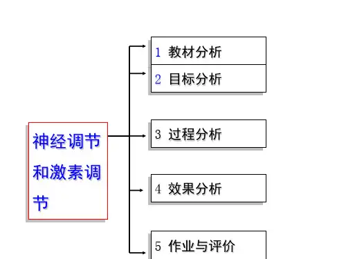 动物和人体生命活动的调节 