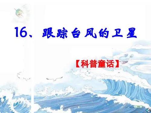 跟踪台风的卫星ppt 