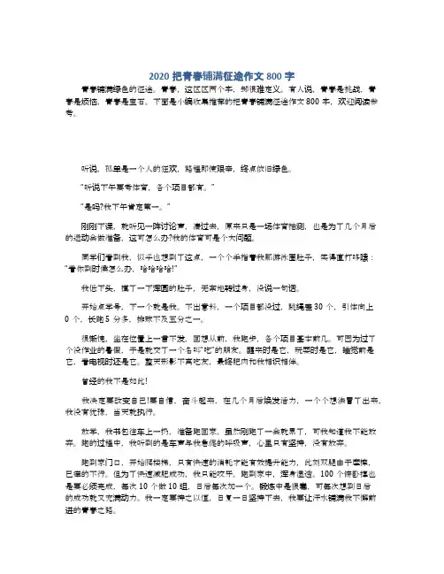 2020把青春铺满征途作文800字