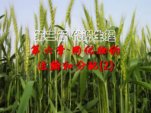同化物的运输和分配