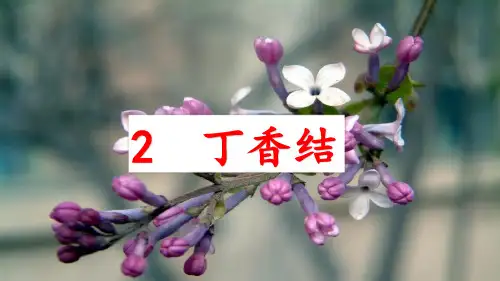 六年级语文上册第2课《丁香结》优秀PPT课件