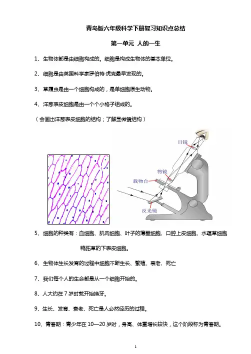 青岛版六年级下册科学(全册)知识点总结材料及试题