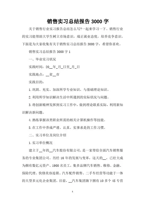 销售实习总结报告3000字(精编版)