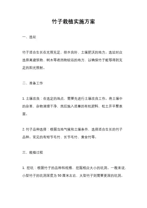 竹子栽植实施方案