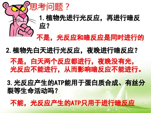 5.4光合作用的原理和应用-人教版高中生物必修1课件