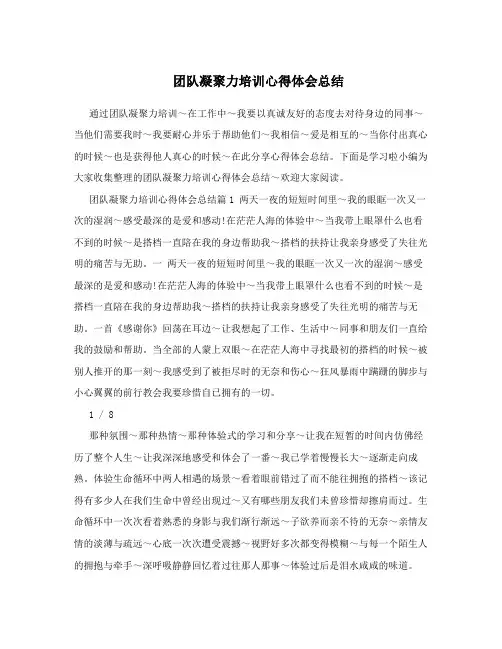 团队凝聚力培训心得体会总结
