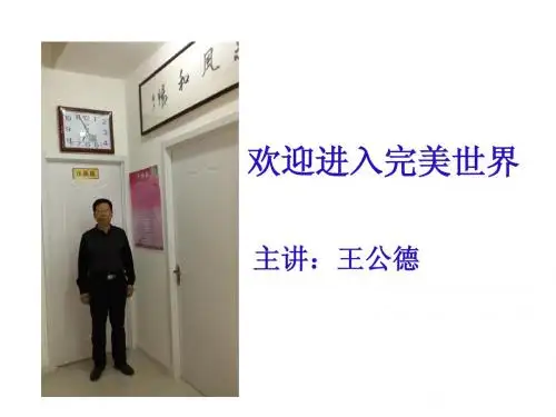 欢迎进入完美世界--王公德