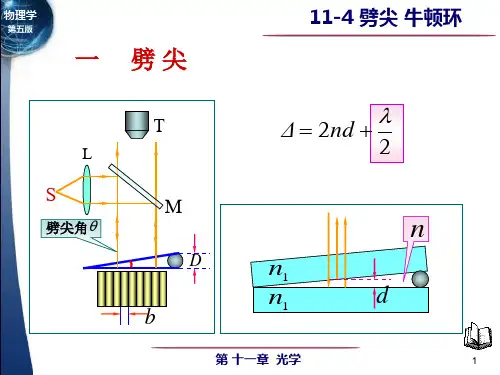 劈尖-牛顿环知识