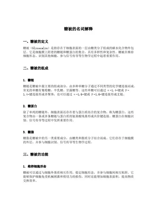 糖被的名词解释