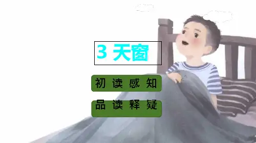 《天窗》ppt课件 (完美版)