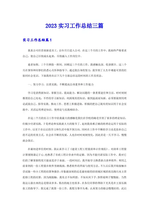 2023实习工作总结三篇【实用模板】