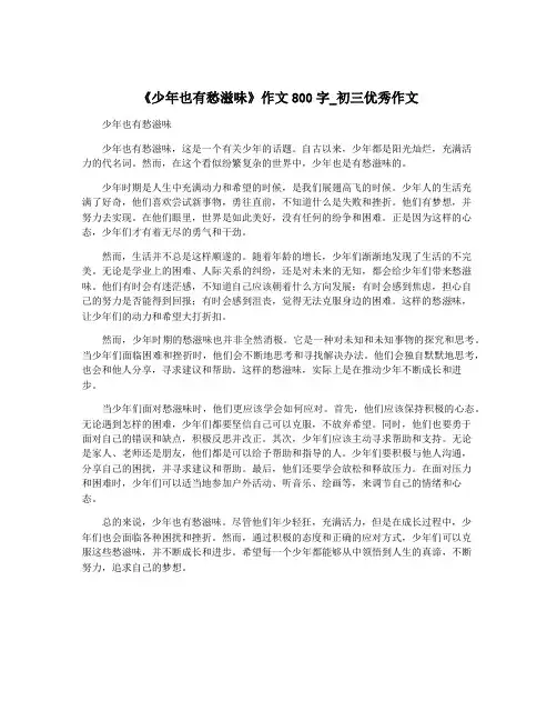 《少年也有愁滋味》作文800字_初三优秀作文