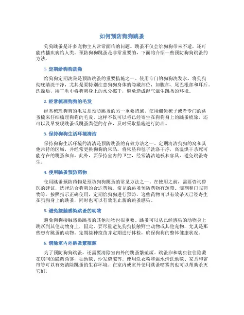 如何预防狗狗跳蚤