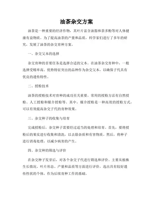 油茶杂交方案