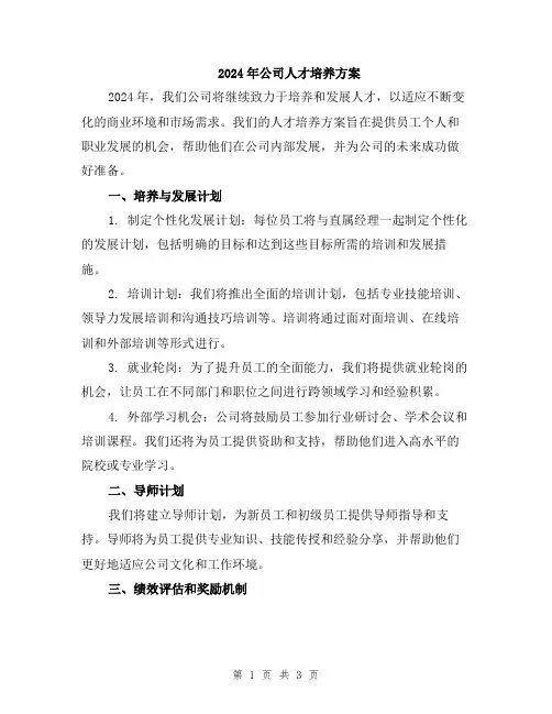2024年公司人才培养方案
