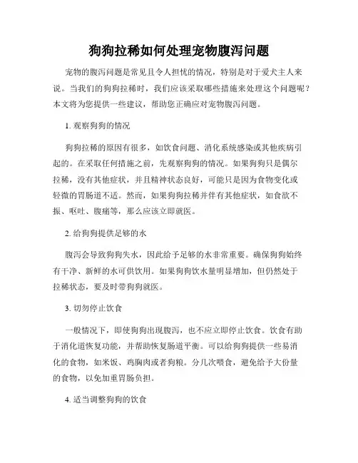 狗狗拉稀如何处理宠物腹泻问题