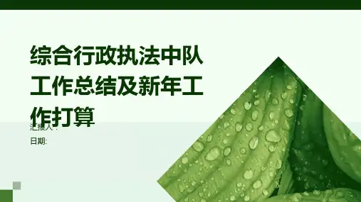 综合行政执法中队工作总结及新年工作打算