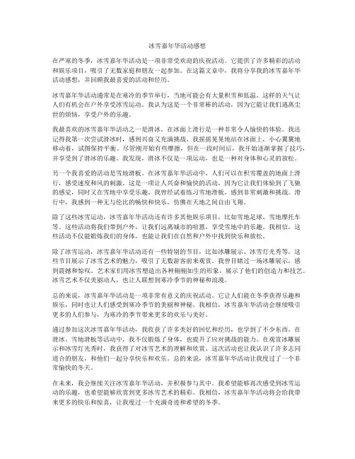冰雪嘉年华活动感想