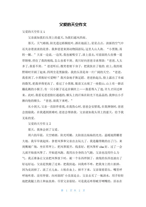 父爱的天空作文