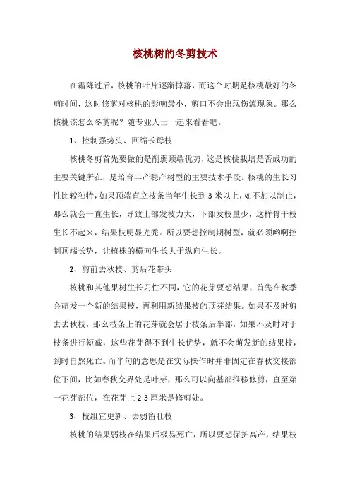 核桃树的冬剪技术