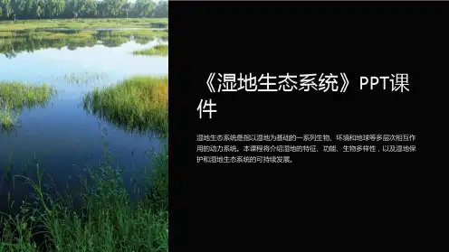 《湿地生态系统》课件