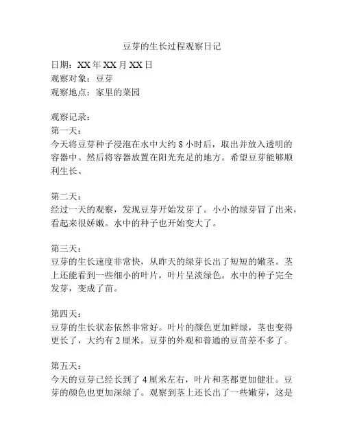 豆芽的生长过程观察日记