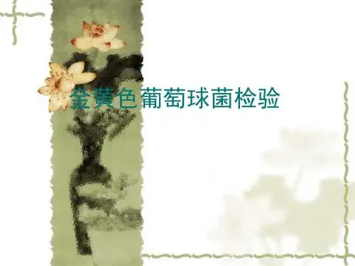 金黄色葡萄球菌检验