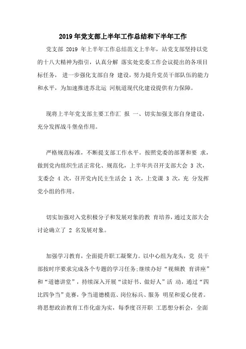 2019年党支部上半年工作总结和下半年工作