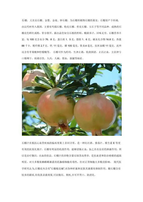 各种水果的营养价值(2011全面版,女生男生都看下)