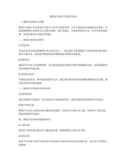 铜尾矿治理可行性研究报告