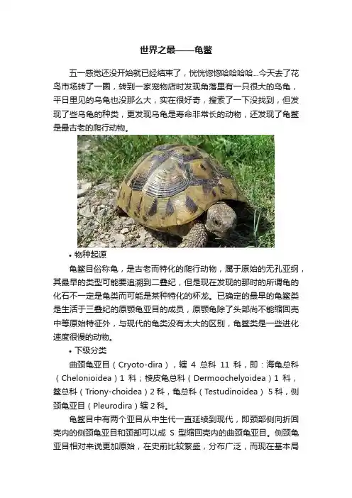 世界之最——龟鳖