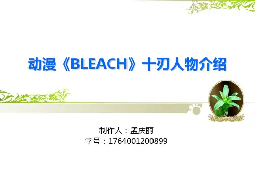 动漫《BLEACH》十刃人物介绍