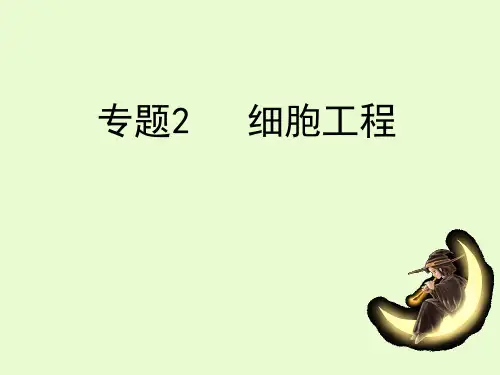 2.1植物细胞工程 PPT课件