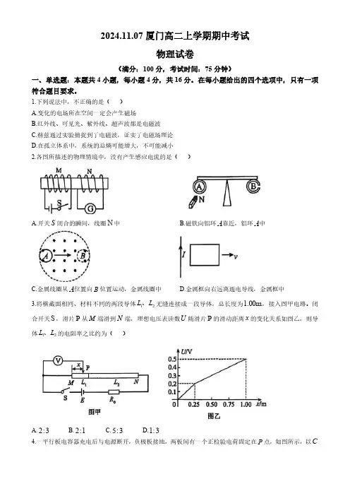 福建省厦门2024-2025学年高二上学期11月期中物理试题(含解析)