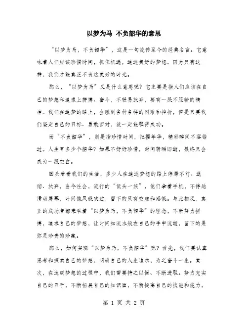以梦为马 不负韶华的意思