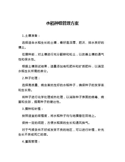 水稻种植管理方案