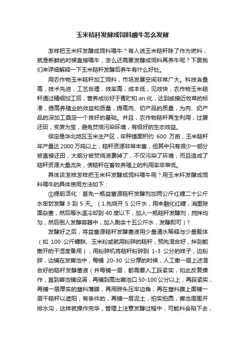 玉米秸秆发酵成饲料喂牛怎么发酵