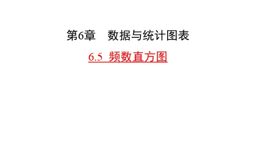 浙教版数学七年级下册课件6.5频数直方图