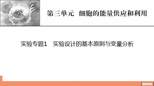 实验专题1实验设计的基本原则与变量分析-2025年生物学高考总复习课件